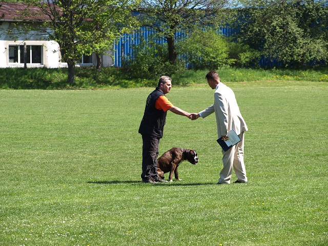 www.atibox.net * www.euroboxer.eu * www.boxergenealogia.eu